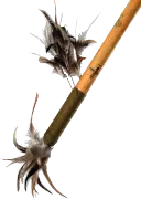 Voodoo Magie